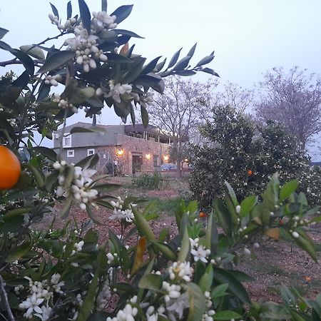 Hostal Entreolivos Бадахос Екстер'єр фото